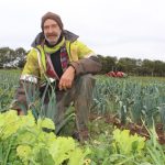 Angelica Organic Farm