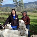 Anne-Marie Monda and Carla Meurs of Holy Goat Cheese with some of their goats at their organic farm in Sutton Grange.